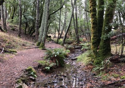 Photo Contest 2021 Submission - Brian Muir