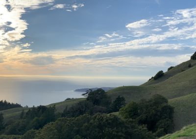 Photo Contest 2021 Submission - Janet Rostad