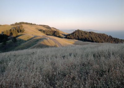 Photo Contest 2021 Submission - Julian Ballschmider